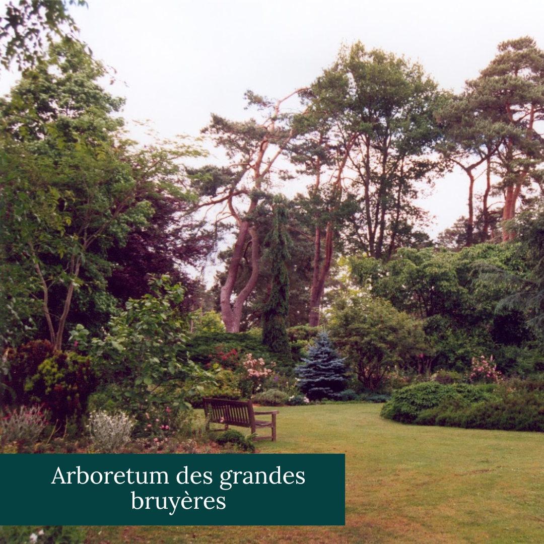 La cathédrale Sainte-Croix d'Orléans 