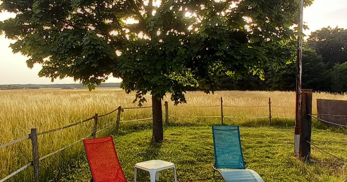 paysage avec un arbre au milieu un transat rouge à gauche une petite table blanche au milieu et à droite un transat bleu
