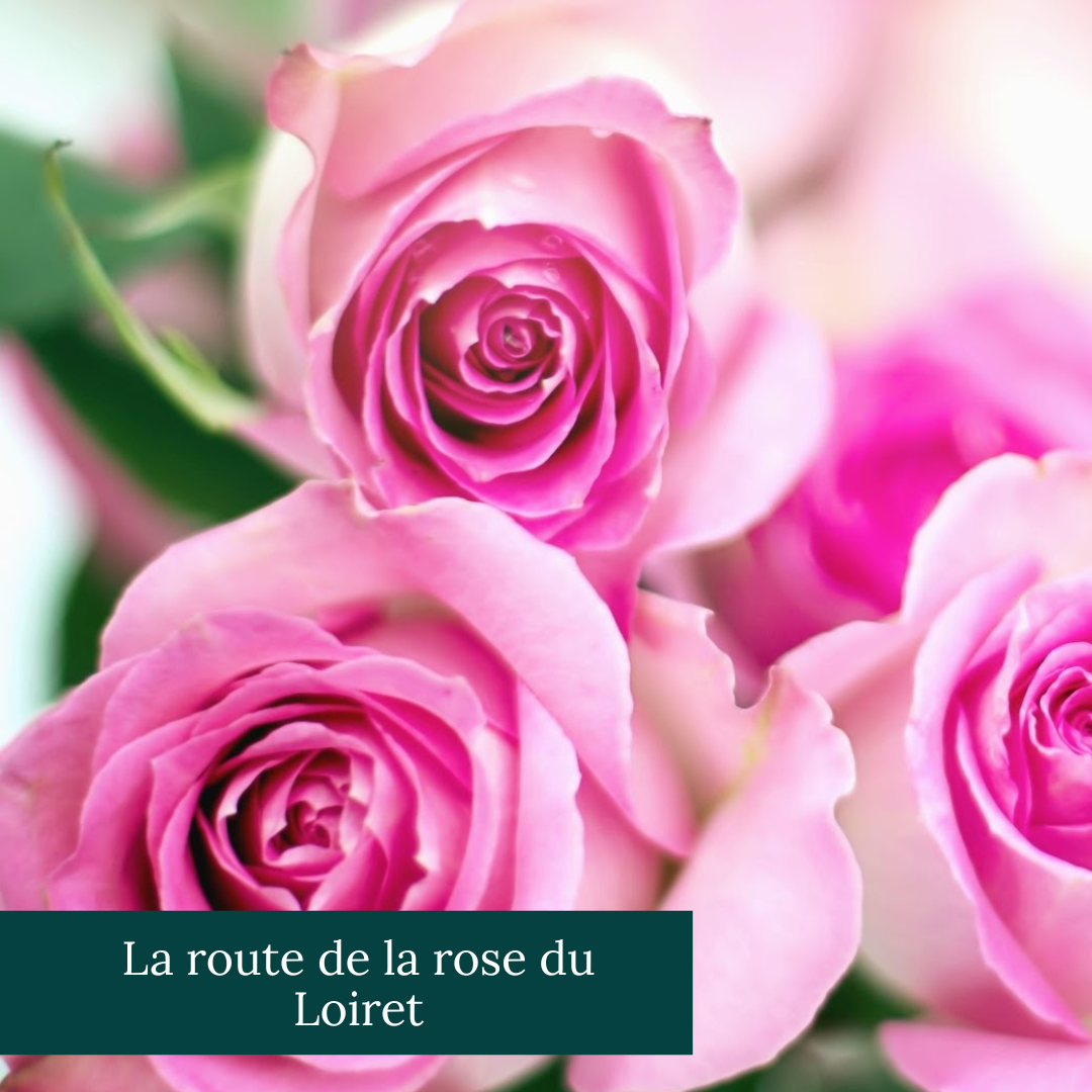 Le musée des beaux-arts d'Orléans avec des statues et des tableau sur un mur jaune 