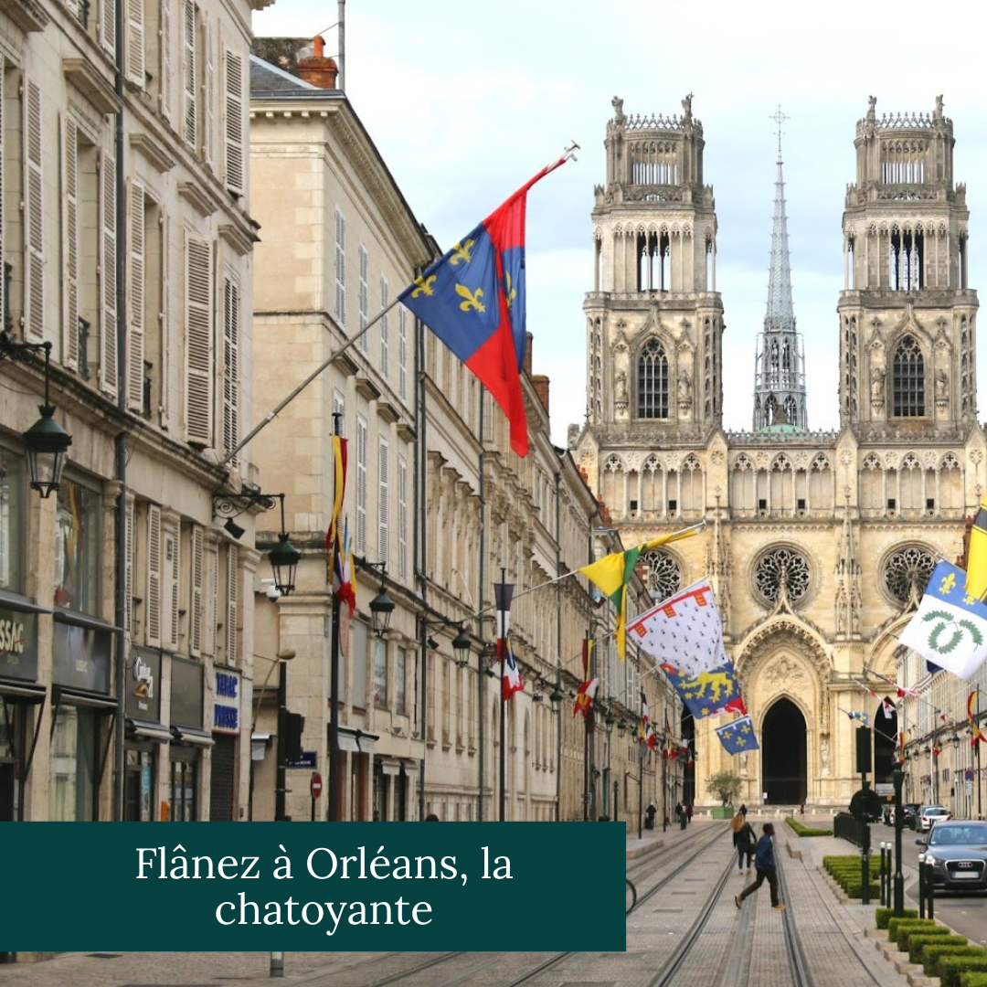 Beaugency et son vieux pont médiéval avec le pont et la Loire qui passe en dessous