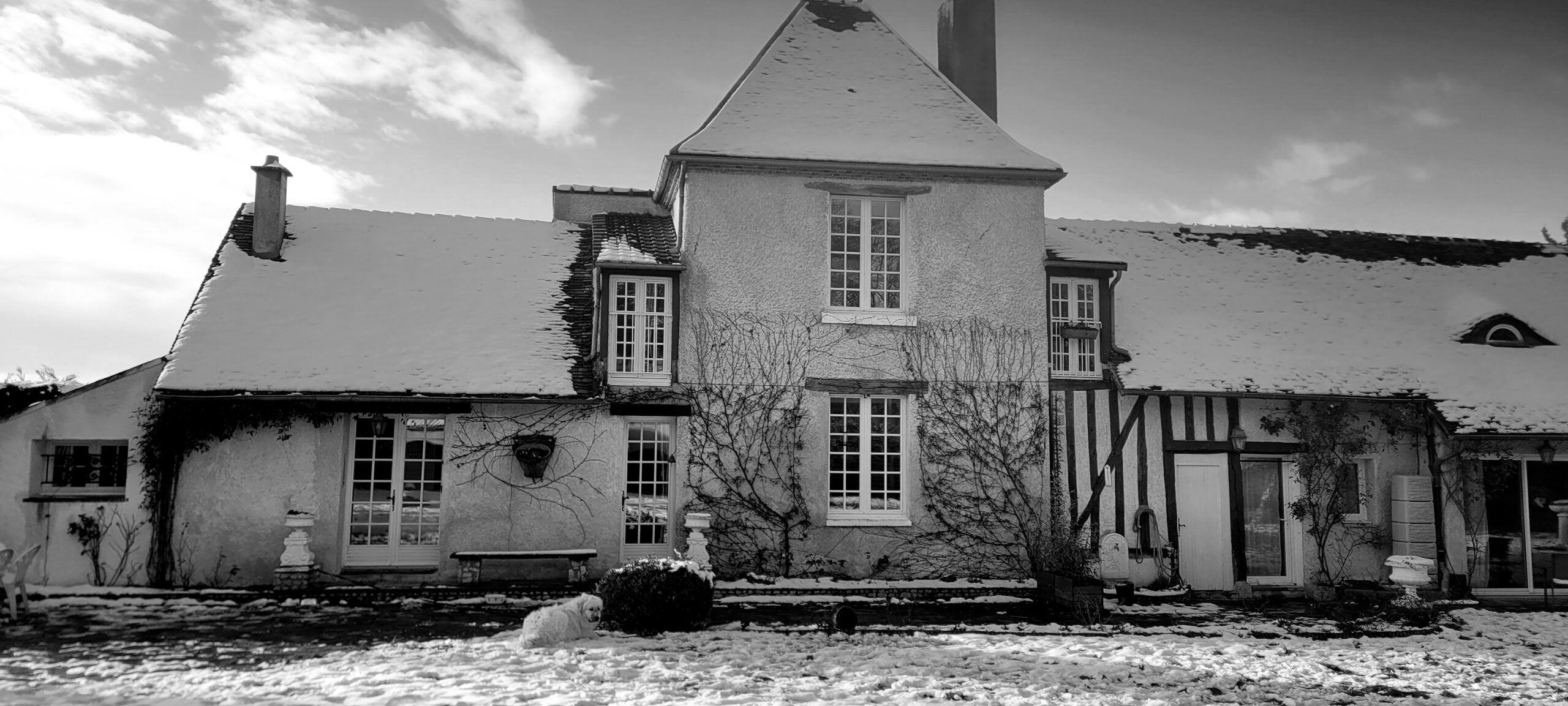 façade noire et blanche du gîte du Relais d'Eugénie sous la neige avec un chien devant