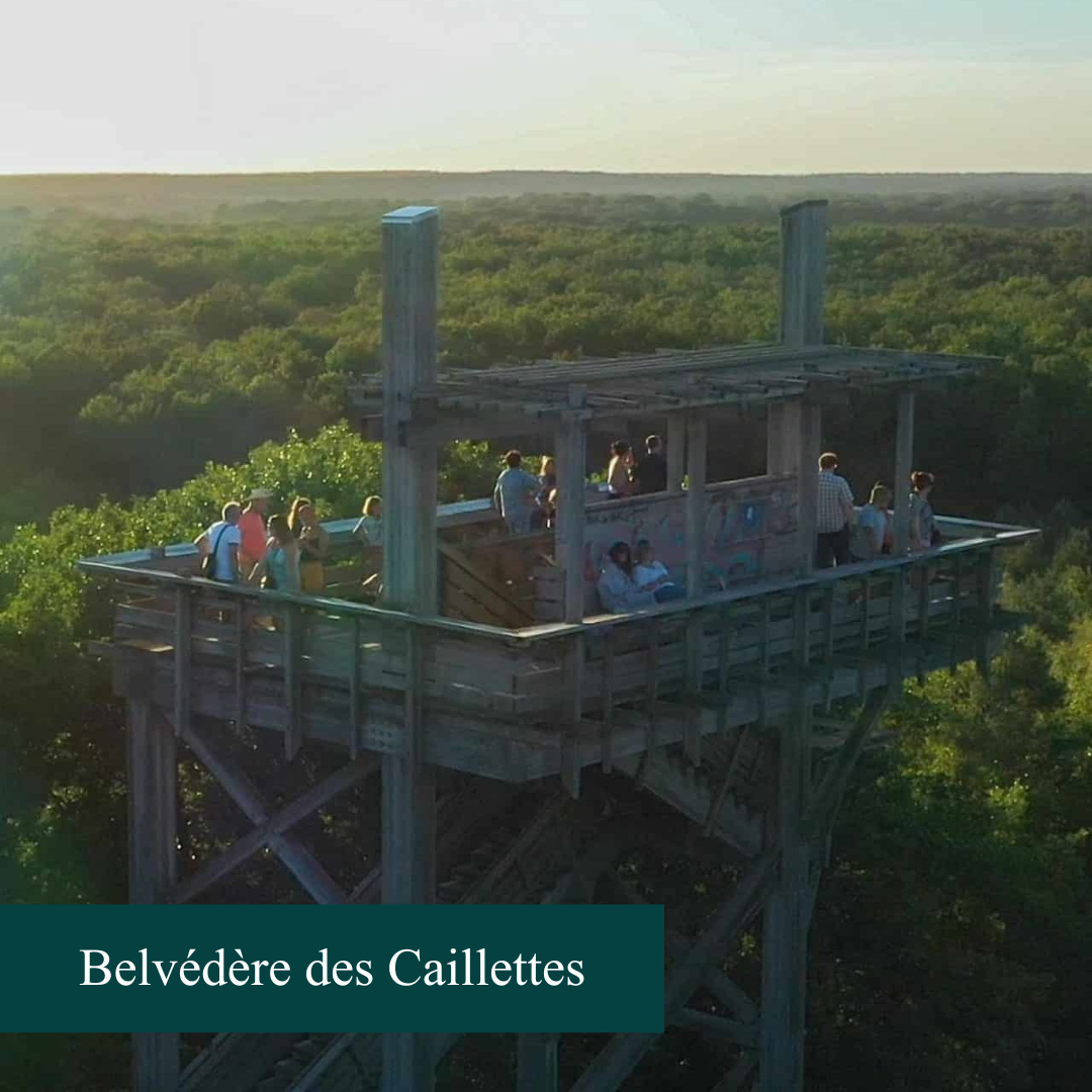 Bord de Loire avec un bateau et des arbres le long de la Loire et au loin un pont 