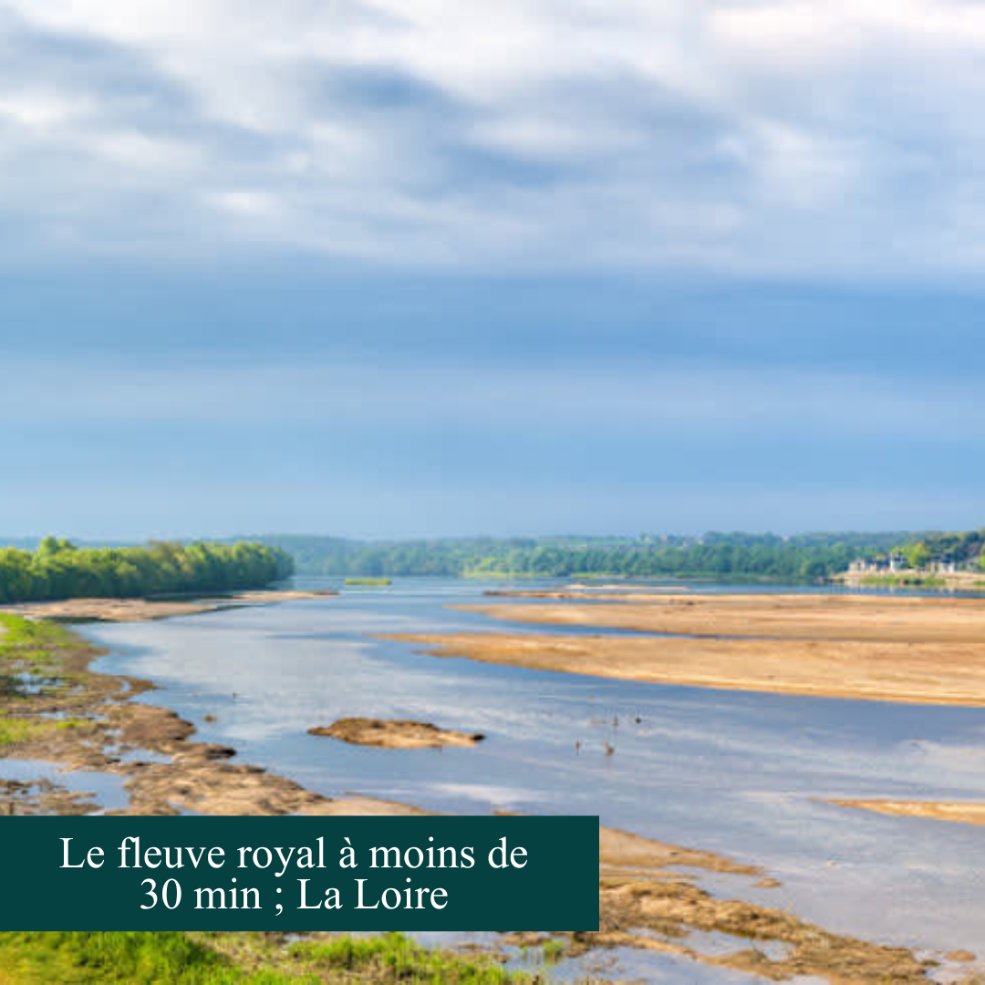 Le musée des beaux-arts d'Orléans avec des statues et des tableau sur un mur jaune 